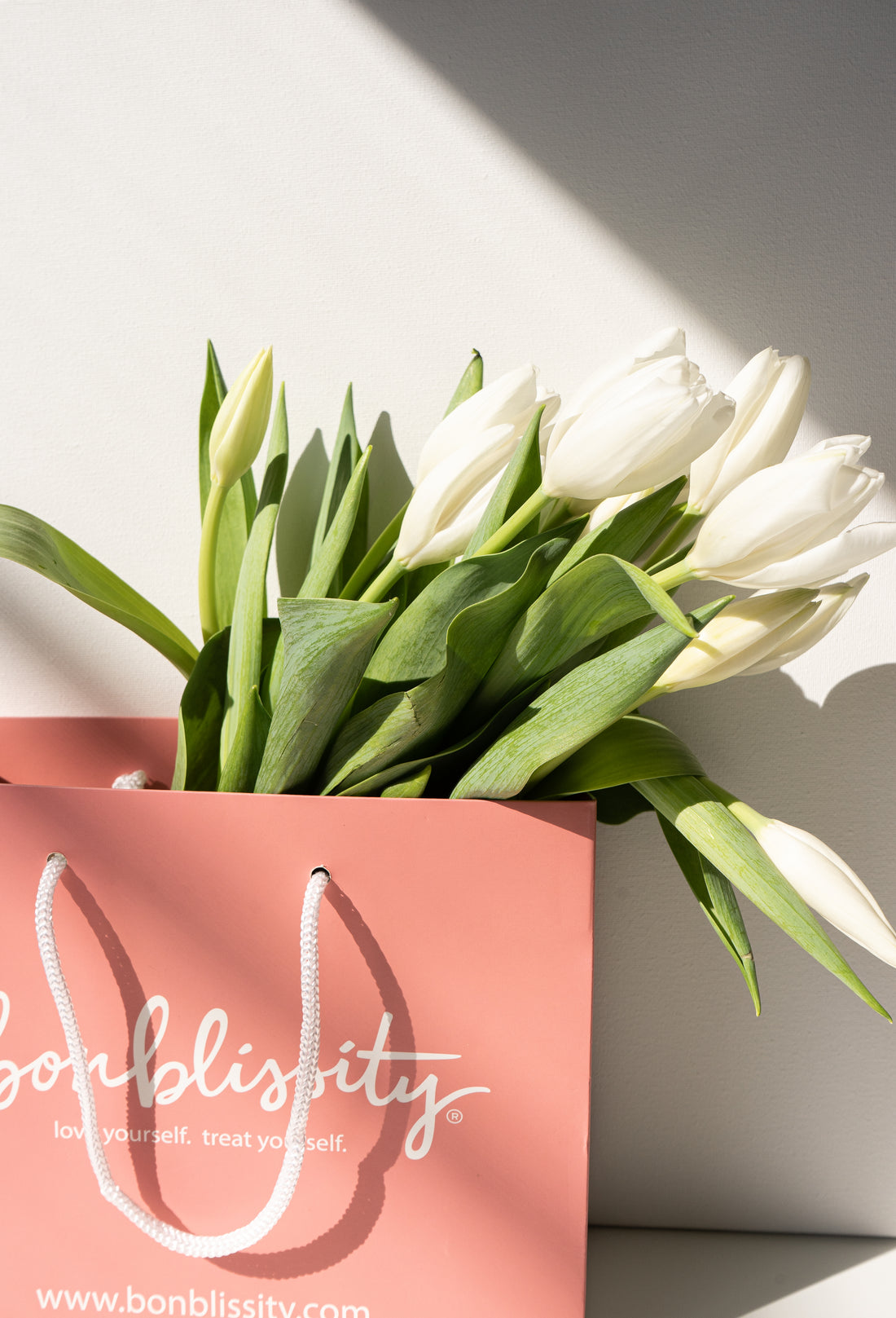 Bonblissity Gift Bag